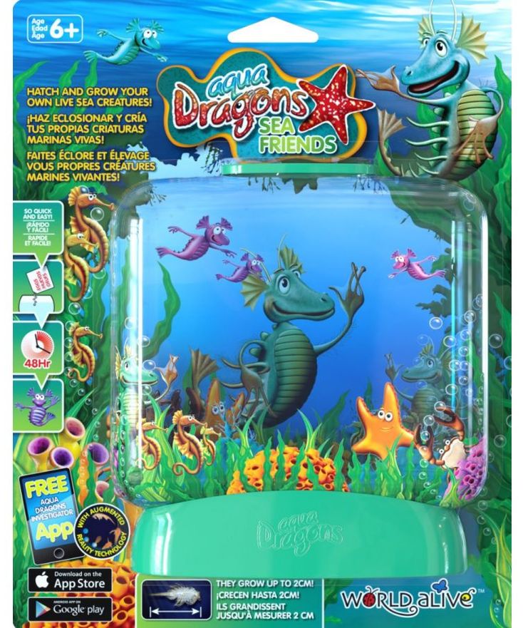 Sea Friends - Aqua Dragons